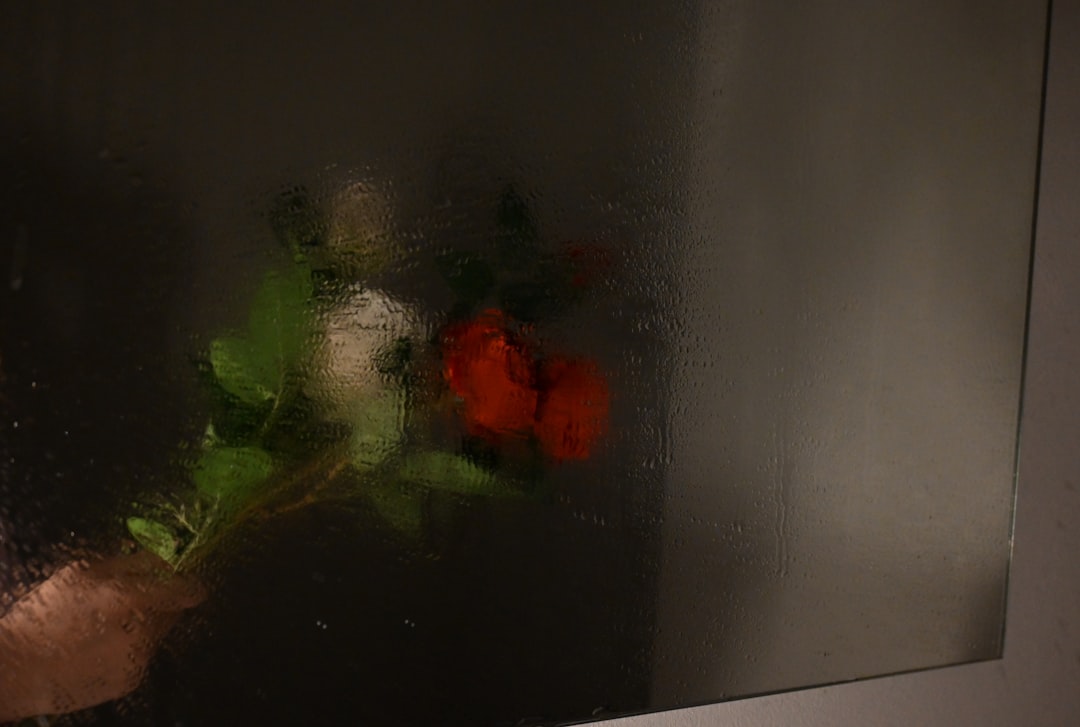 Shower Microwave