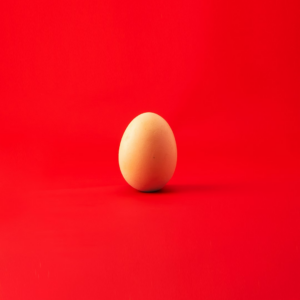 Egg
