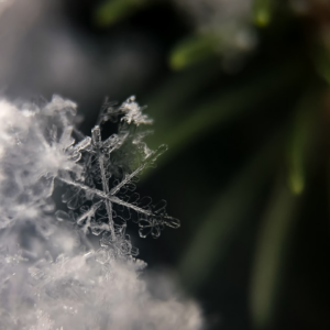 Cold